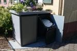 Pflanzenbogen Pflanzenbogen